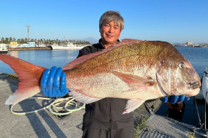 新鮮な釣果