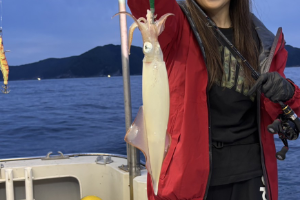イカ釣りプラン